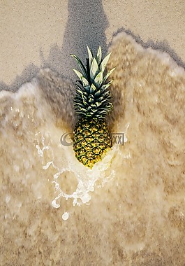 菠蘿,海洋,波