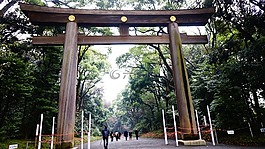 日本,措施,性質