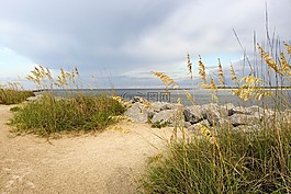 海洋,大西洋,海滩