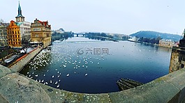 布拉格,河,橋