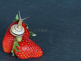 草莓,蝸牛,殼