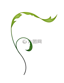 藤,鮮花,葉子