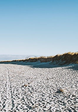 海灘,海岸,岸