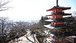 日本,性質,措施