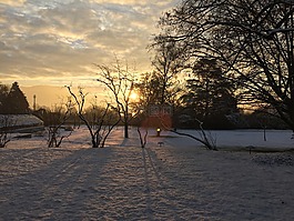 景觀,雪,冬天風(fēng)景