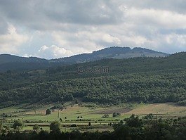 山區(qū),moma森林,景觀