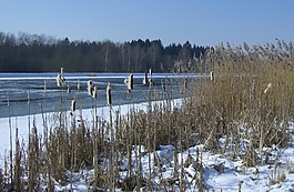 多瑙河,冬天,雪