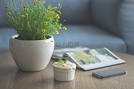 鮮花,鍋,花盆