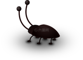 蟑螂,昆蟲,甲蟲，昆蟲