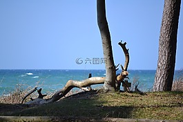 性質(zhì),海,波羅的海
