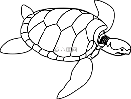 龜,動物,綠色