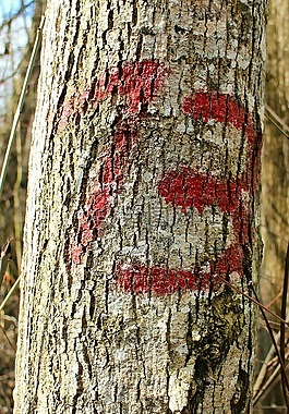 十三,13,編號(hào)