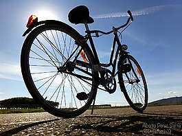自行車,老,日落