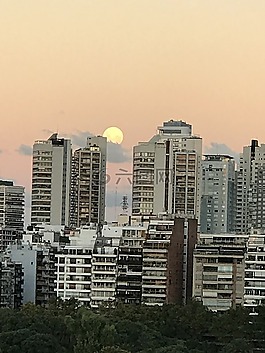 月亮,天空,城市