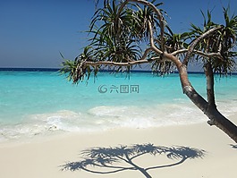 馬爾代夫,海灘,海