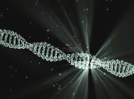dna,項(xiàng)目lumina,沃爾特waymann