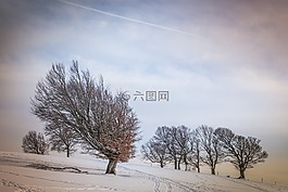 冬天,雪,寒冬