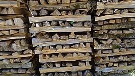 木,holzstapel,柴