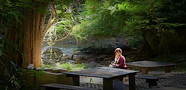 清邁,國家公園,聽琴