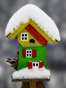 冬天,鳥舍,雪