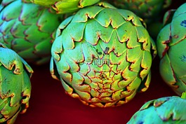 菊芋,綠色,食品