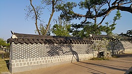 大韓民國,石頭墻,松