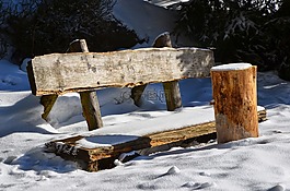 树脂,银行,雪