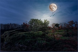 景观,月亮,夜