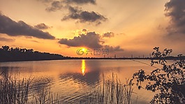 查看,景觀,自然