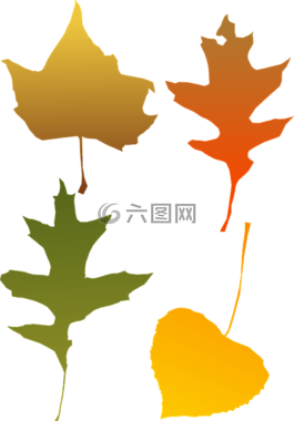 葉子,綠化,秋