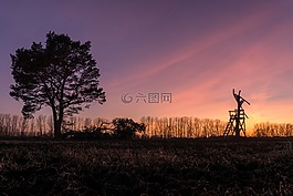 日落,背光,黃昏