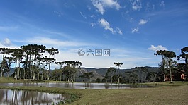 天空,湖,樹(shù)