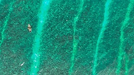 海灘,海洋,人