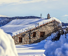 雪,冬天,冷