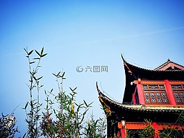 建筑,中式,公園