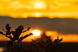 太陽,日落,西