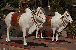 白牛,宗教,寺