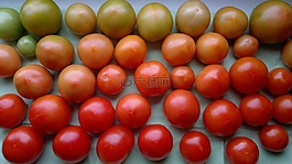 蕃茄,紅色,綠色