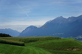 字段,山,玉米