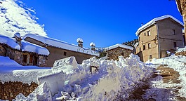 雪,冬天,冷