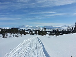 冬季,山,雪