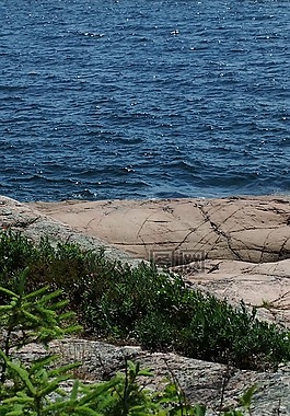 海洋,大bergeronnes,性質(zhì)