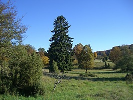 秋季,härtsfeld,丰富多彩