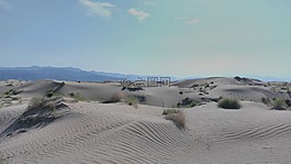 沙漠,沙,沙丘