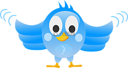 tweeting,twitter,鳥(niǎo)