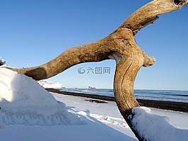 太平洋,海灘,濱