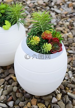 石头,植物,葬礼的骨灰盒