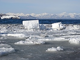 海洋,灣,巖