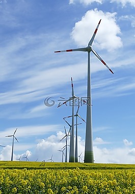 油菜,風力發(fā)電機組,云