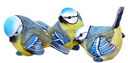 藍奶,裝飾,鳥類